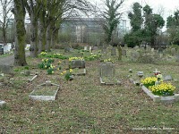 Bedfont Cemetery 287200 Image 3